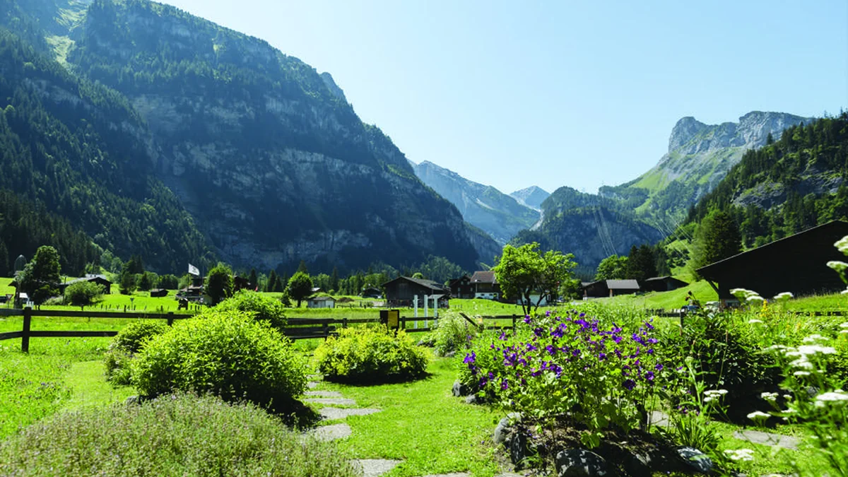 Paesaggio alpino svizzero legato alla coltivazione delle erbe officinali Ricola